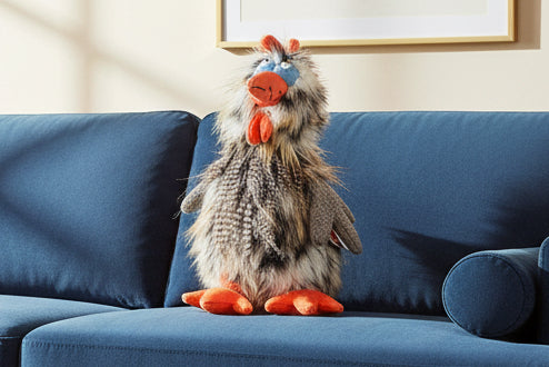 Tour De Poule