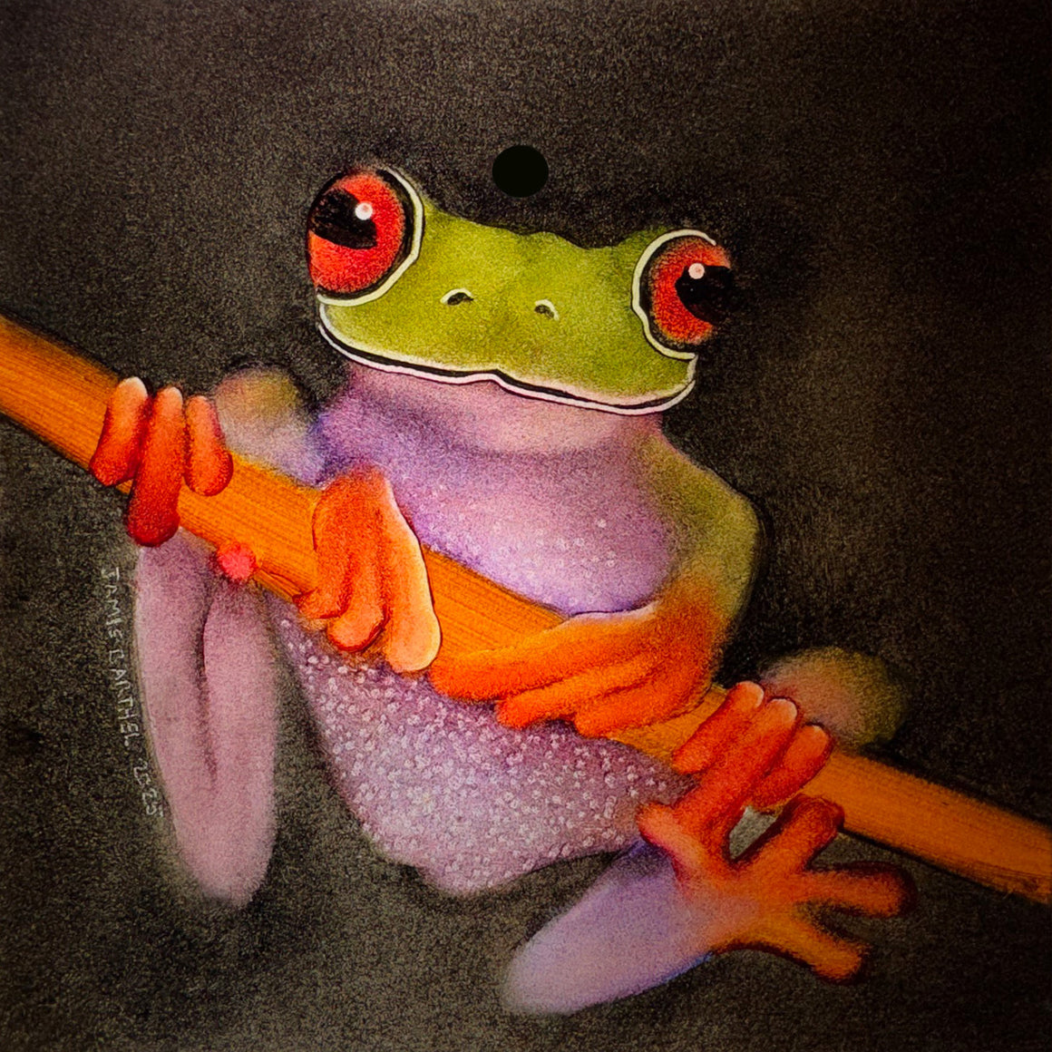 Frog 6" x 6" Window Hanging