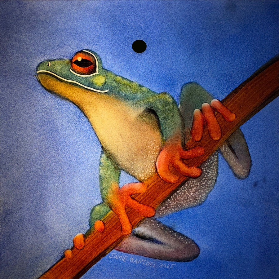 Frog 6" x 6" Window Hanging