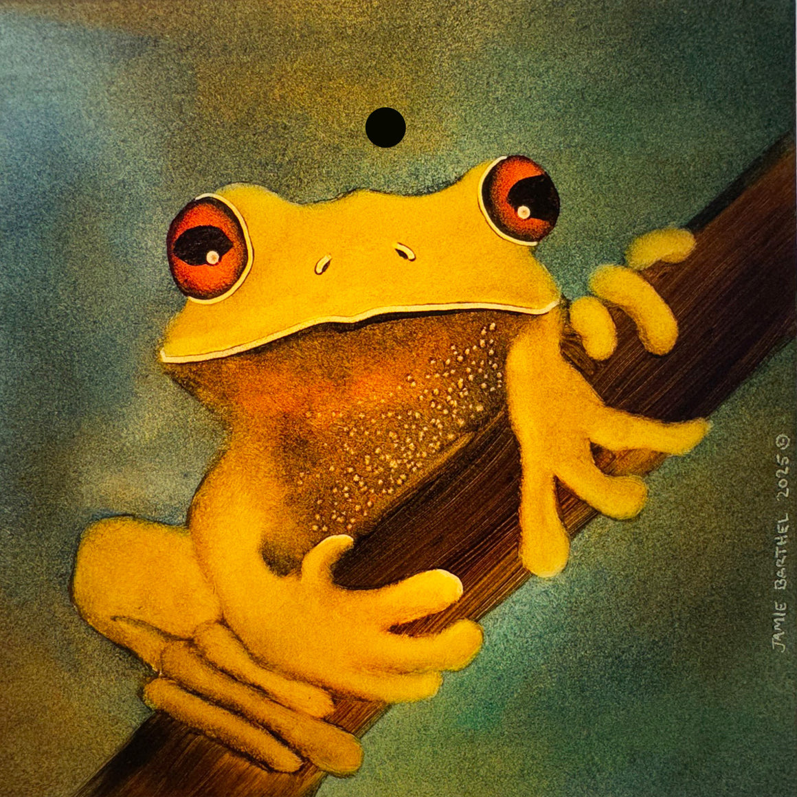 Yellow Tree Frog 6" x 6" Window Hanging