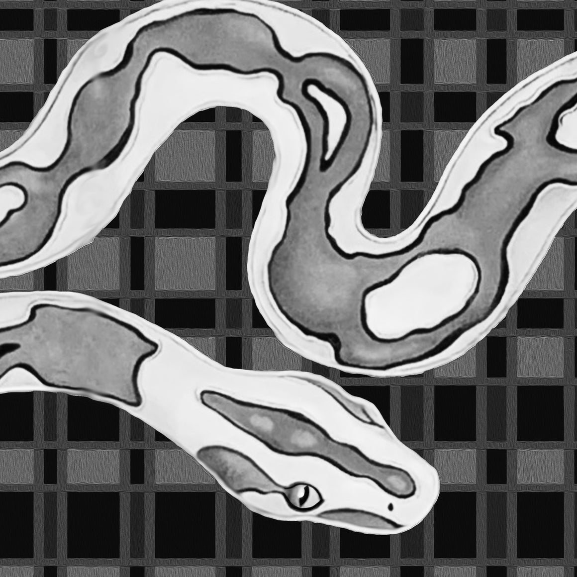 Checkers the Snake Scarf in Black and White by Jamie Barthel