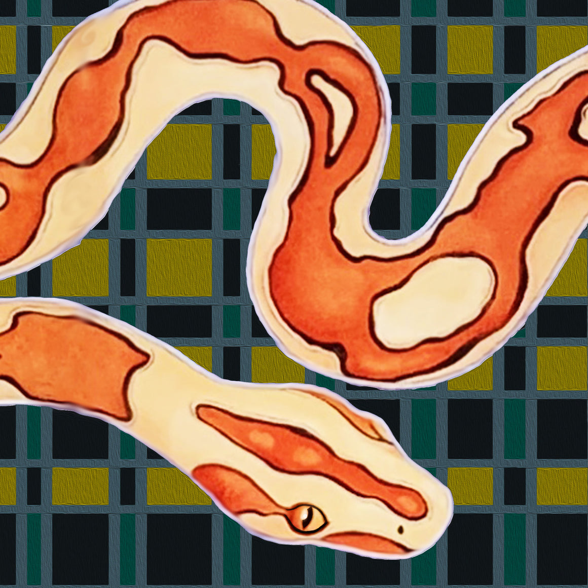 Checkers the Snake Scarf by Jamie Barthel
