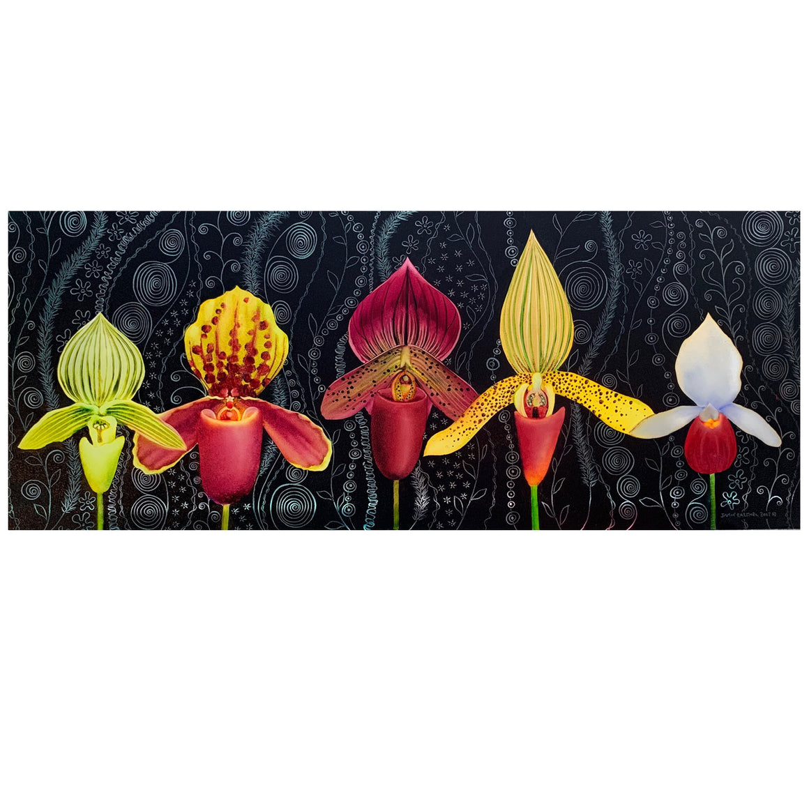Lady Slippers 9" x 22"