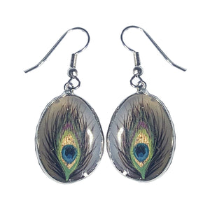 Peacock feather Earrings