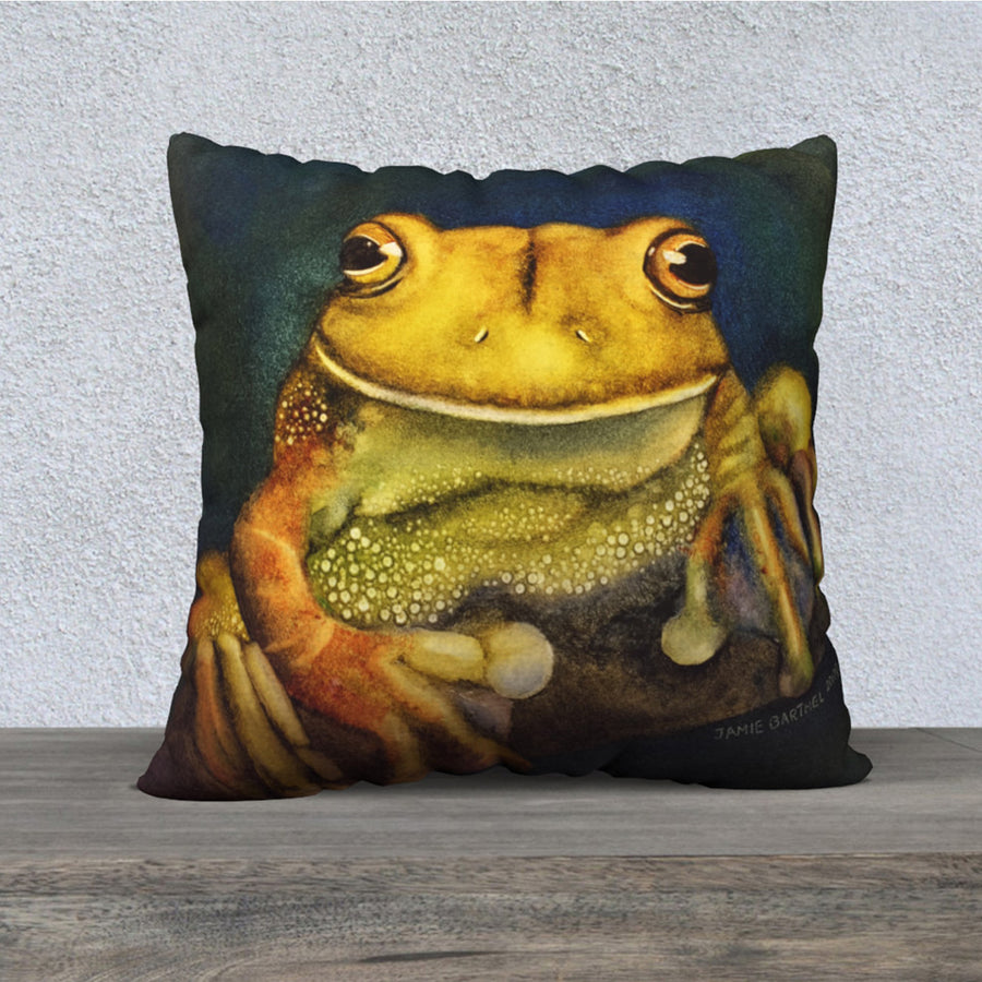 Prince Frog Pillow